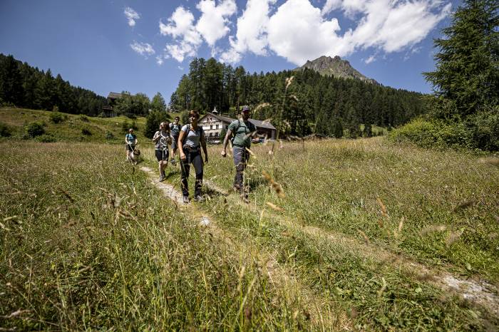 Der Mental-Health-Teamtag kombiniert einen Workshop zu mentaler Gesundheit mit einem Gruppenerlebnis in der Region.