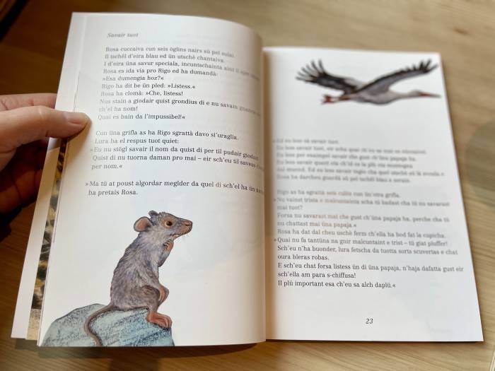 Il nouv cudesch da l'Uniun dals Grischs «Rosa e Rigo».