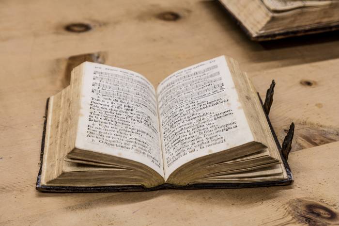 Und der Verein ACVM macht die Sammlungen im Bibliotheksverbund Graubünden zugänglich.