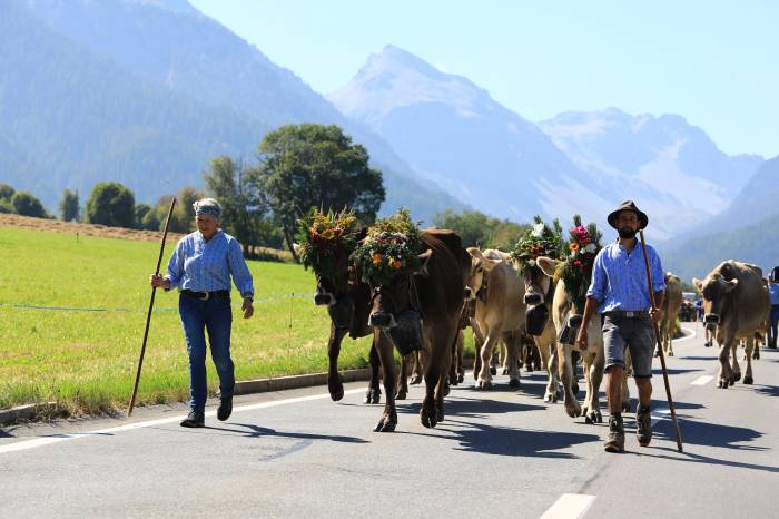 Alpabzug von der Alp Mora im Val Müstair.