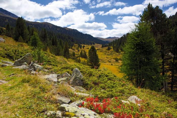 Herbstliche Farbenpracht im Val S-charl.