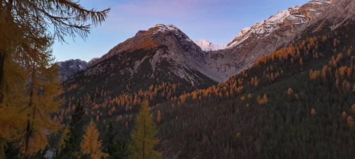 Abendstimmung in der Val Cluozza.