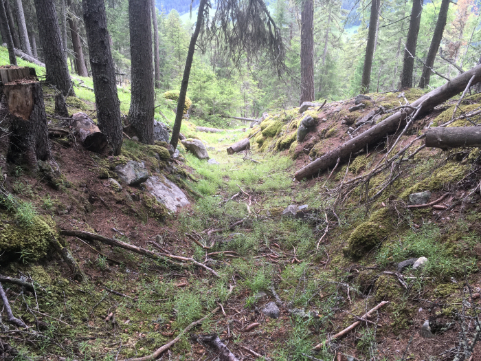 Mit etwas Glück findet man noch den alten Weg zwischen Pradafans und Muotta Preir.
