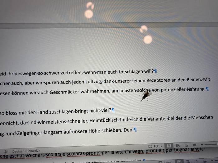 Die Interviewpartnerin schiebt sich direkt ins Bild.