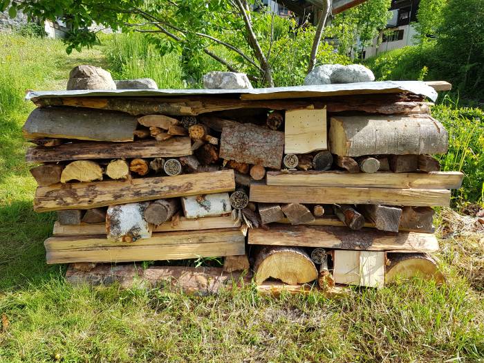 Viel Platz für neue Touristen im Insektenhotel