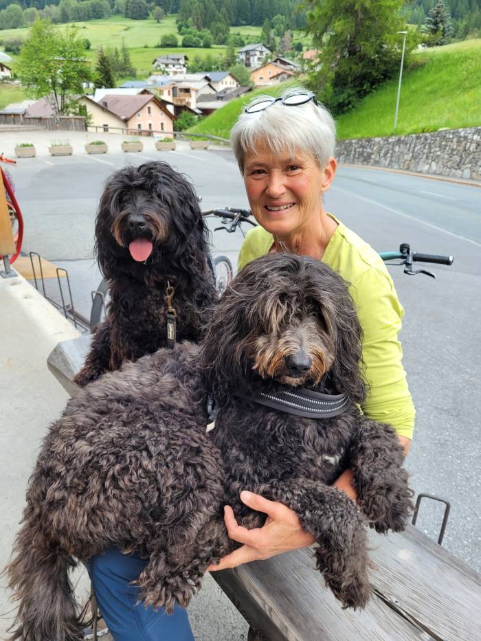 Die portugiesischen Wasserhunde Lia und Emma gehören zur Familie.