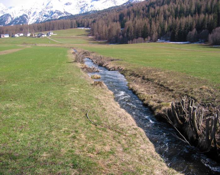 Der Rombach 2004