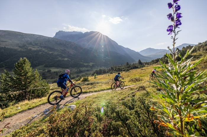 Auf der Alp Astras im Val S-charl