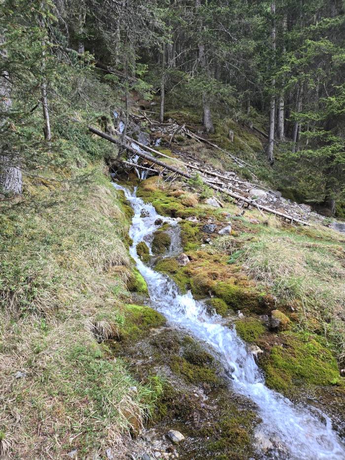Eine imposante Quelle in der Val S-charl mit ganzjährig konstanter Wassertemperatur.