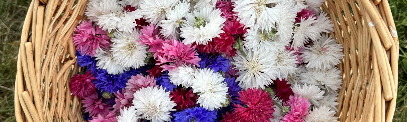 Blütenpracht aus den Bergen – farbenfroh gesammelt und als aromatische Kräuter ein besonderer Genuss. 
