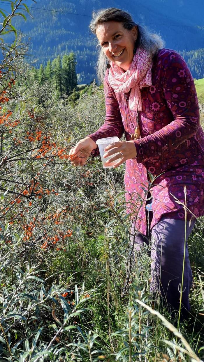 Carolina &agrave; Porta Biner betreibt in Jegenstorf bei Bern eine Heilpraxis und bietet im Engadin Wildkr&auml;uterwanderungen und -kurse an. https://praxis-aporta.ch