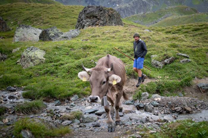 Die Tage auf der Alp Bella beginnen sehr früh.