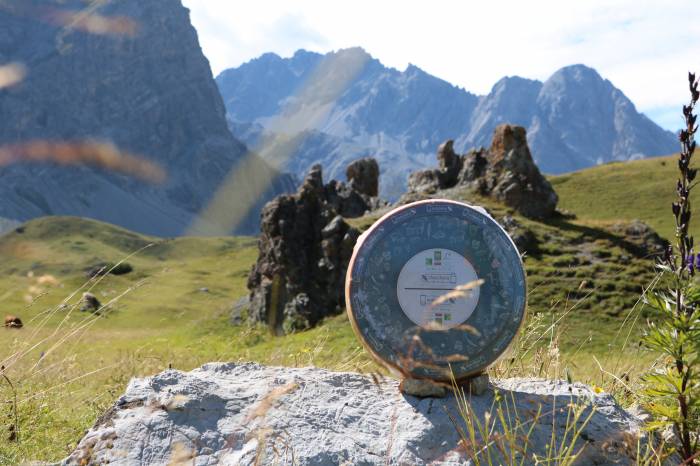 Viele verschiedene Käse gibt es in der Region, hier einer aus dem Val Müstair.