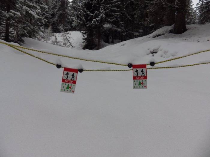 Im Winter braucht das Wild Ruhe, weil der Organismus auf Sparflamme arbeitet.