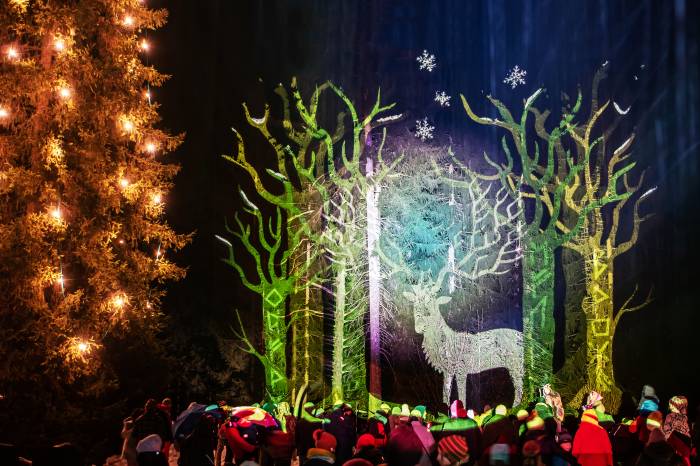 Eine farbenprächtige Baumprojektion wird den Winterwald von Sur En verzaubern.