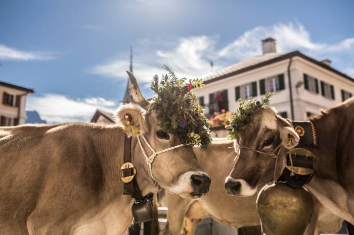 Die Landwirtschaft prägt die Landschaft und ist so wichtig für den Tourismus