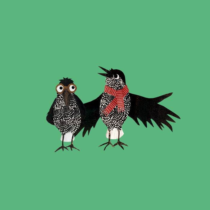 Die neuen Nationalparklieblinge Furbina (rechts) & Ratsch (links)