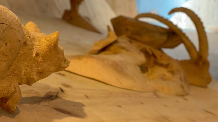 Blick in die Ausstellung Wildnis im Zentrum.