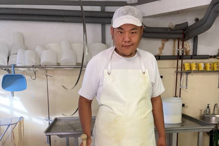 Sonam bei der Halbhartkäseproduktion, die er auch in Bhutan anwenden will.