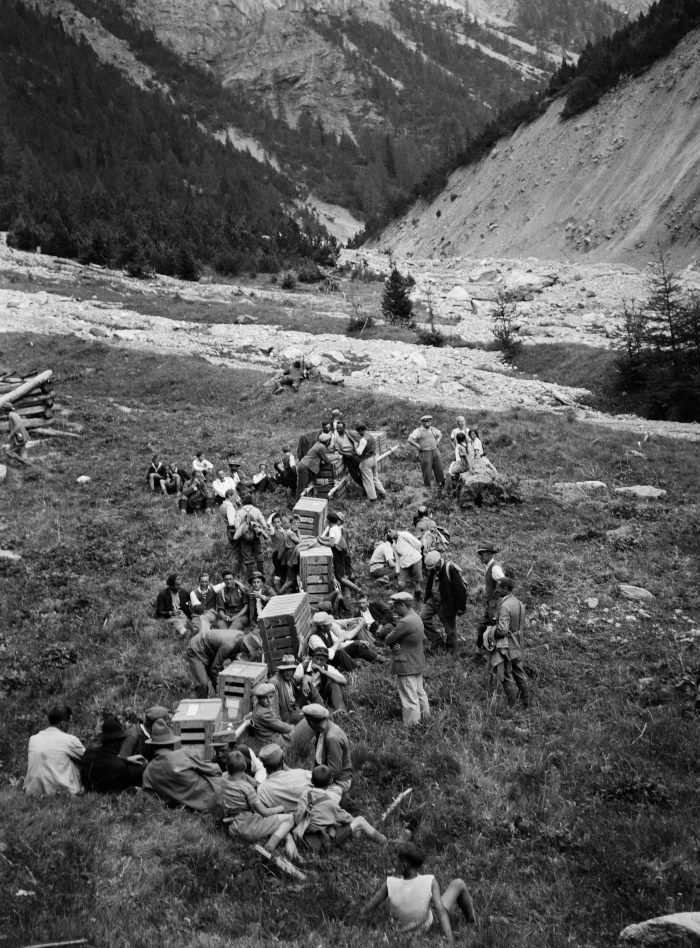 Steinbockaussetzung in der Val Tantermozza
